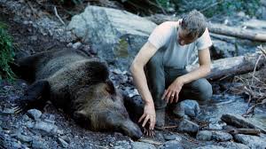 Image result for Glenrothes Grizzlies