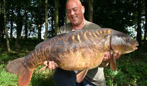 Image result for The Lancaster Fish