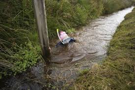Image result for Bog Snorkelling Championships