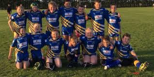 Image result for Skirlaugh Amateur Rugby League Football Club