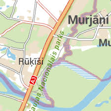 Attēlu rezultāti vaicājumam “Diphyus latebricola”