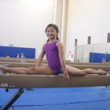 Image result for Maple Gymnastics Club
