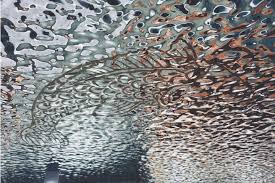 Image result for Bon Accord Thistle Amateur Swimming Club