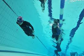 Image result for Apneists UK