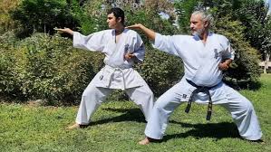 Image result for Intelligent Martial Arts