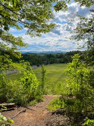 Image result for Ashville College Disc Golf Club