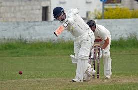 Image result for Buckhorn Weston Cricket Club