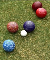 Image result for Purton Bowls Club