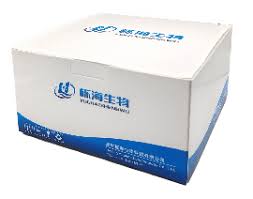 Attēlu rezultāti vaicājumam “Cordyceps farinosa”