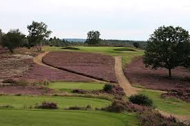 Image result for Hankley Common Golf Club