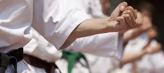 Image result for Seiki Juku Karate Club