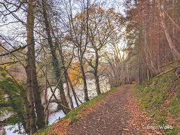 Image result for Annbank Angling Club