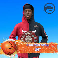 Image result for Kingston Wildcats Basketball Club