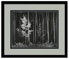 Image result for Ansel Adams Aspens New Mexico