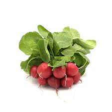 Image result for Radieschen