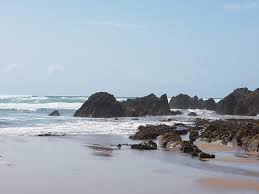 Image result for BigBlueSurfSchool