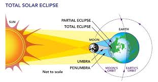 Attēlu rezultāti vaicājumam “Panolis umbra”