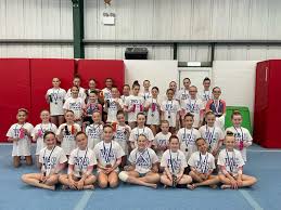 Image result for Pinewood Gymnastics Club