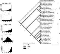 Attēlu rezultāti vaicājumam “Bryum funkii cells”