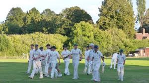 Image result for Waverley Cricket Club