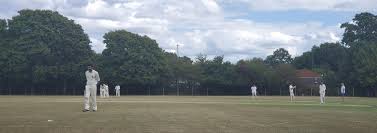Image result for Park Hill Cricket Club