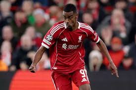 Image result for Liverpool Lizards Speedminton Club