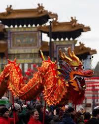 Image result for Amathus Dragon Boat Club