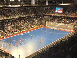 Image result for Indoor Hockey (Casual Use)