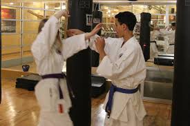Image result for COURT FIELDS karate Academy