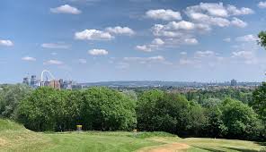 Image result for Croydon Disc Golf Club