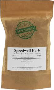 Attēlu rezultāti vaicājumam “Veronica officinalis fruit”