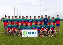 Image result for Shamrocks Hurling & Football Club