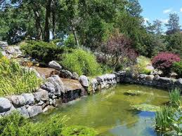 Image result for Thorn Park L T C