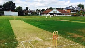 Image result for Esh Winning Cricket Club
