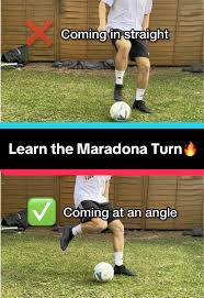 Image result for pheega