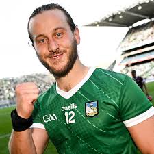 Image result for University Of Limerick Gaa Hurling Club