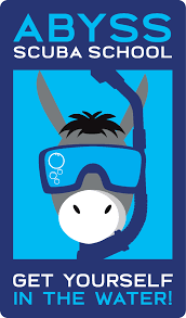 Image result for Abyss Dive Club