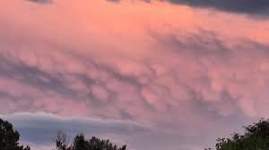 Attēlu rezultāti vaicājumam “Mammatus”