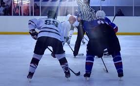 Image result for Streatham Night Wolves Ice Hockey Team