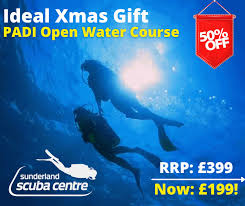 Image result for Aquanauts Dive Centre Sunderland