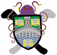 Image result for Stirling University Underwater Hockey Club