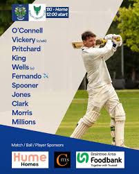 Image result for Halstead Cricket Club