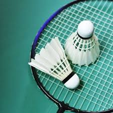 Image result for Falcon Badminton Club