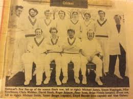 Image result for Halstead Colts Cricket Club