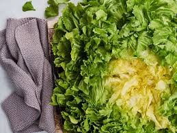 Image result for Endivie