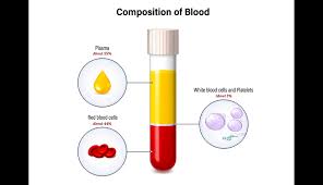 Image result for blood