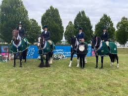 Image result for Chobham and District Riding Club