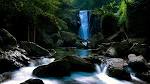 50 Fresh HD Wallpapers | NewEvolution