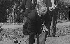 Image result for Maidenhead Thicket Bowls Club