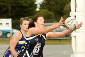 Image result for Wombles Netball Club